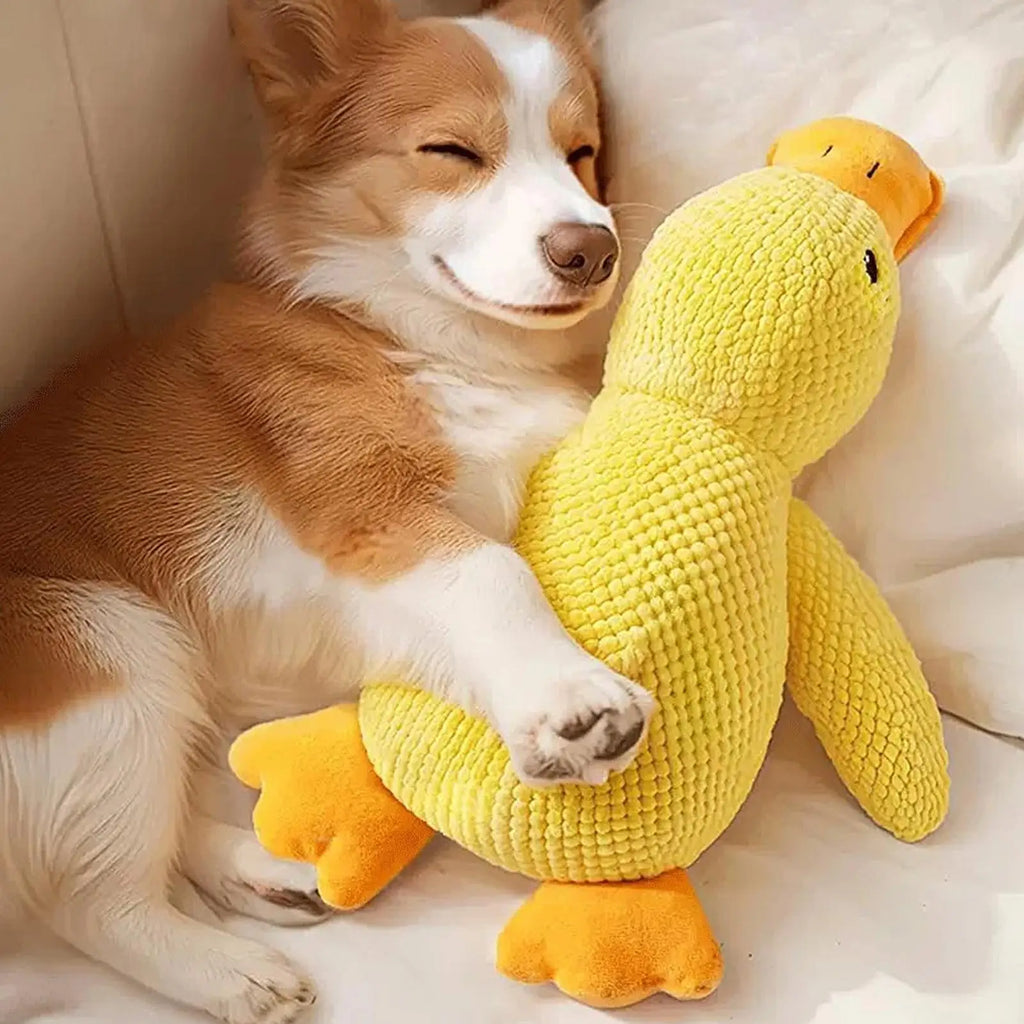 Yellow Plush Duck Dog Toy with Sound