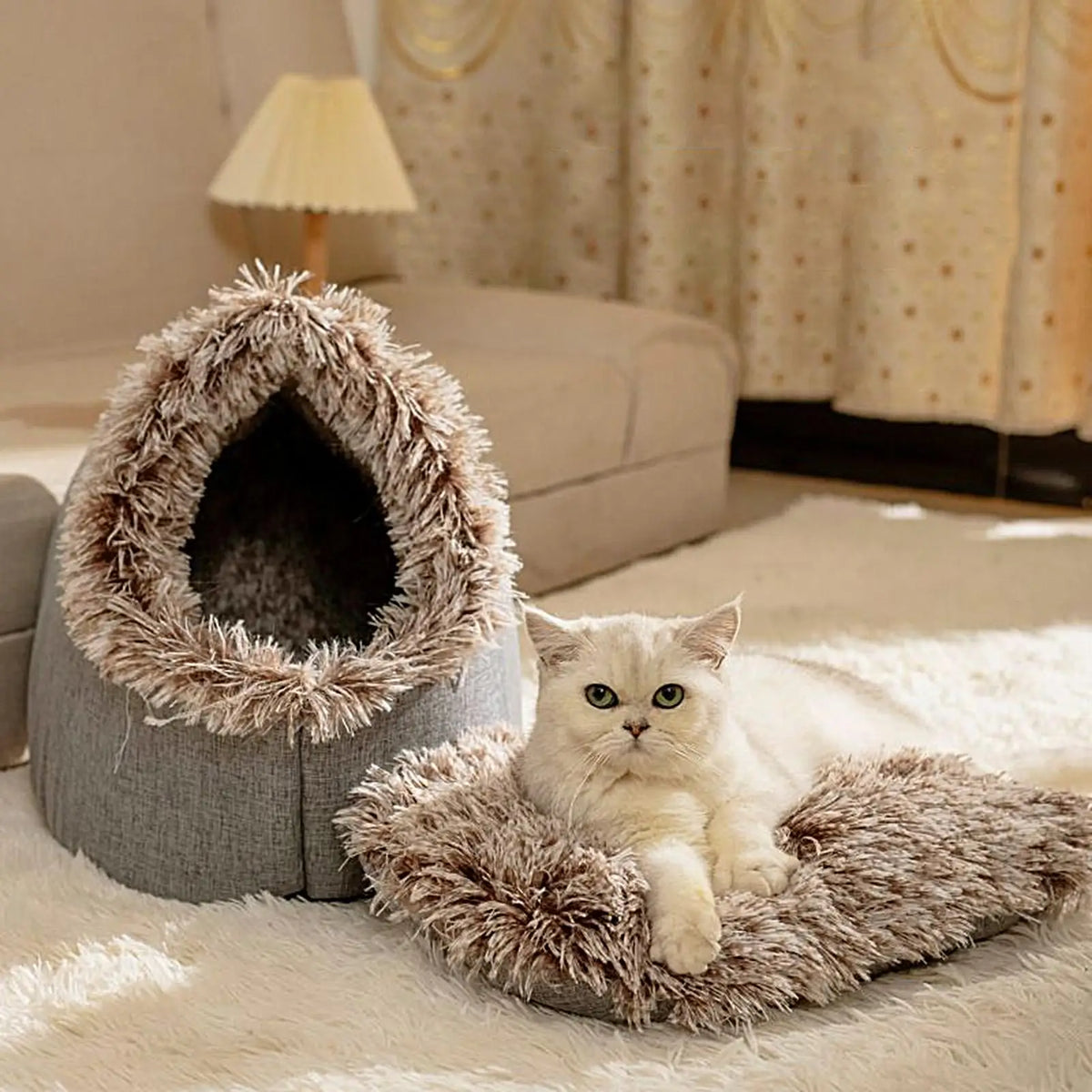 Plush-Trimmed Cave Bed for Cats & Small Dogs