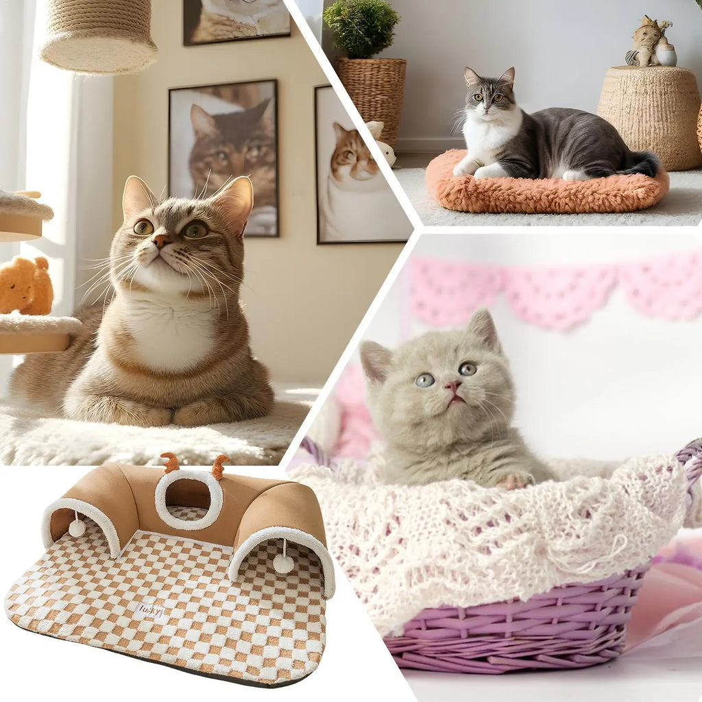 Kitten Play Tunnel Bed with Checkerboard Mat