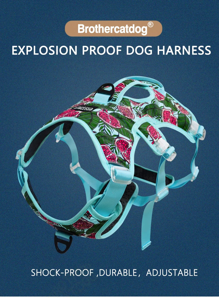 Adjustable Padded Nylon Dog Harness with Reflective Details