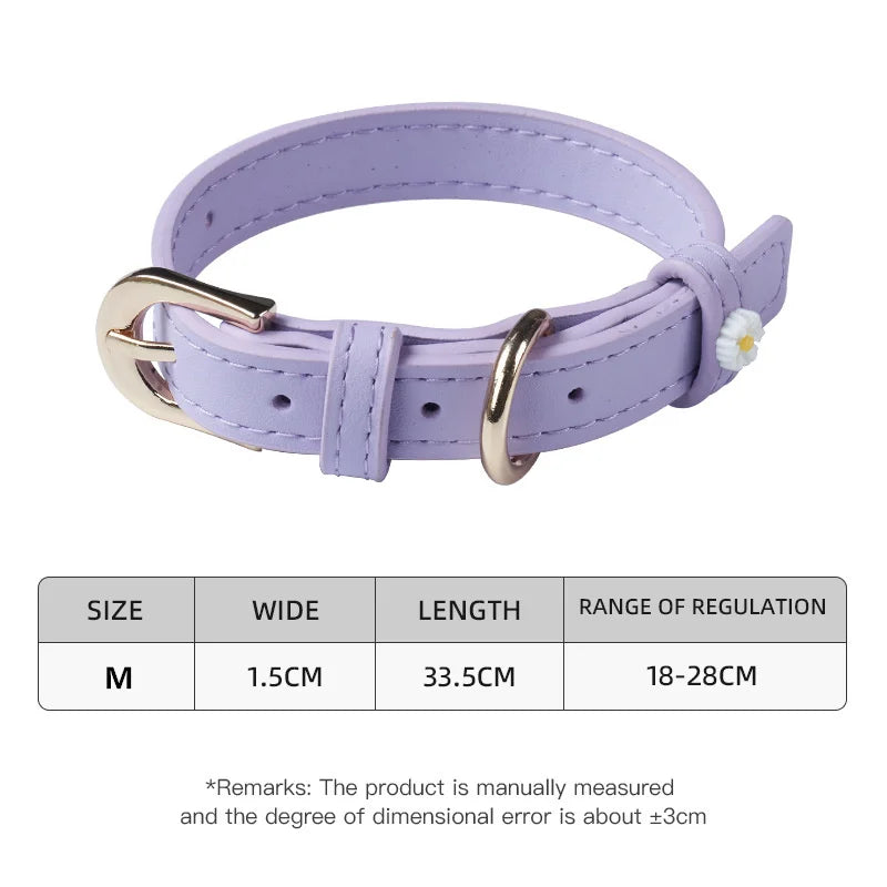 Pastel Daisy Pet Collar with Gold-Tone Buckle