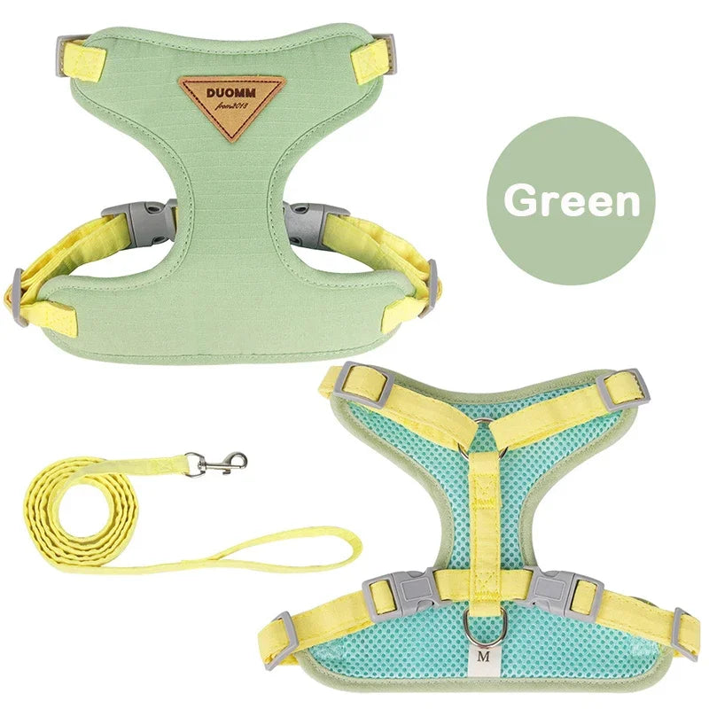 Colorblock Pet Harness & Coordinating Leash Set