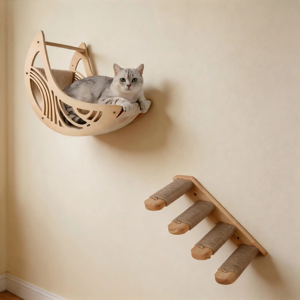 Wall-Mounted Cat Shelves, Steps & Lounging Options
