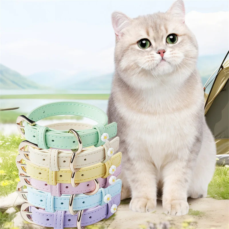 Pastel Daisy Pet Collar with Gold-Tone Buckle