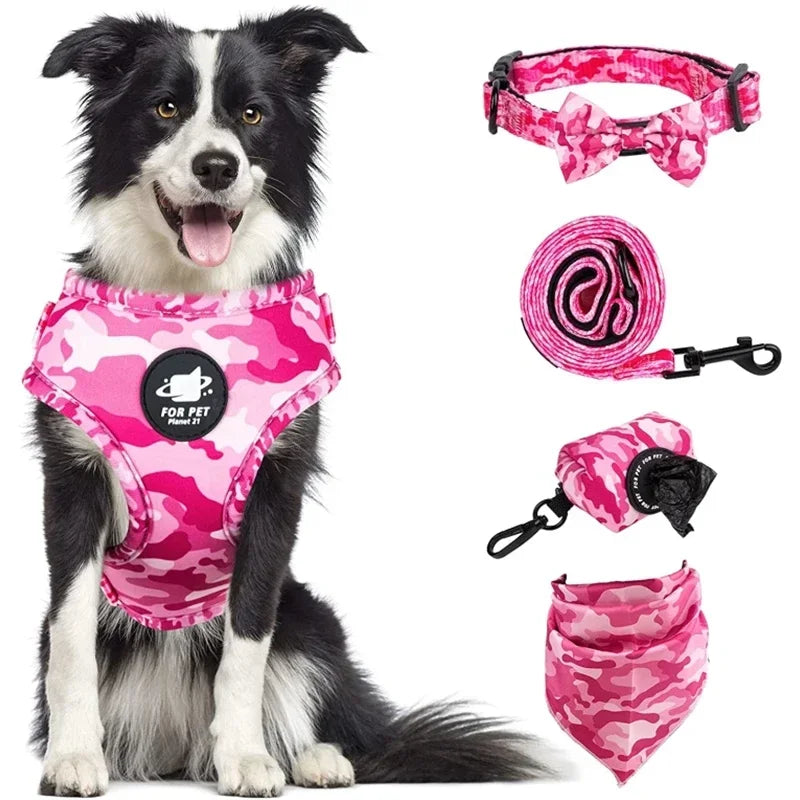 Printed Dog Harness & Coordinating Walking Accessory Set