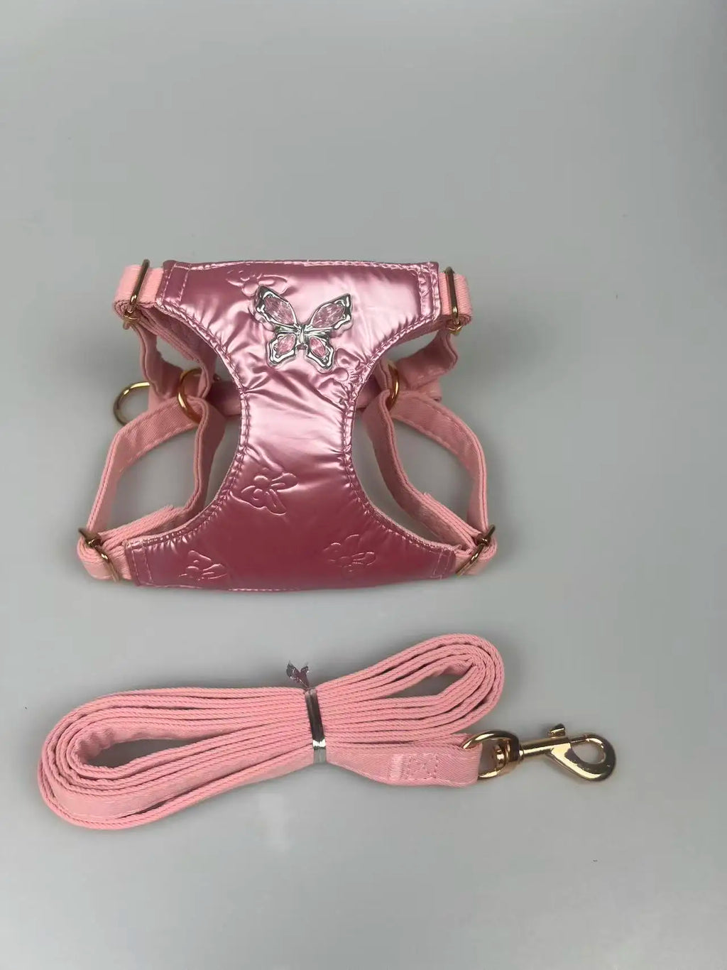 Butterfly-Gem Pet Harness & 1.2 m Leash Set