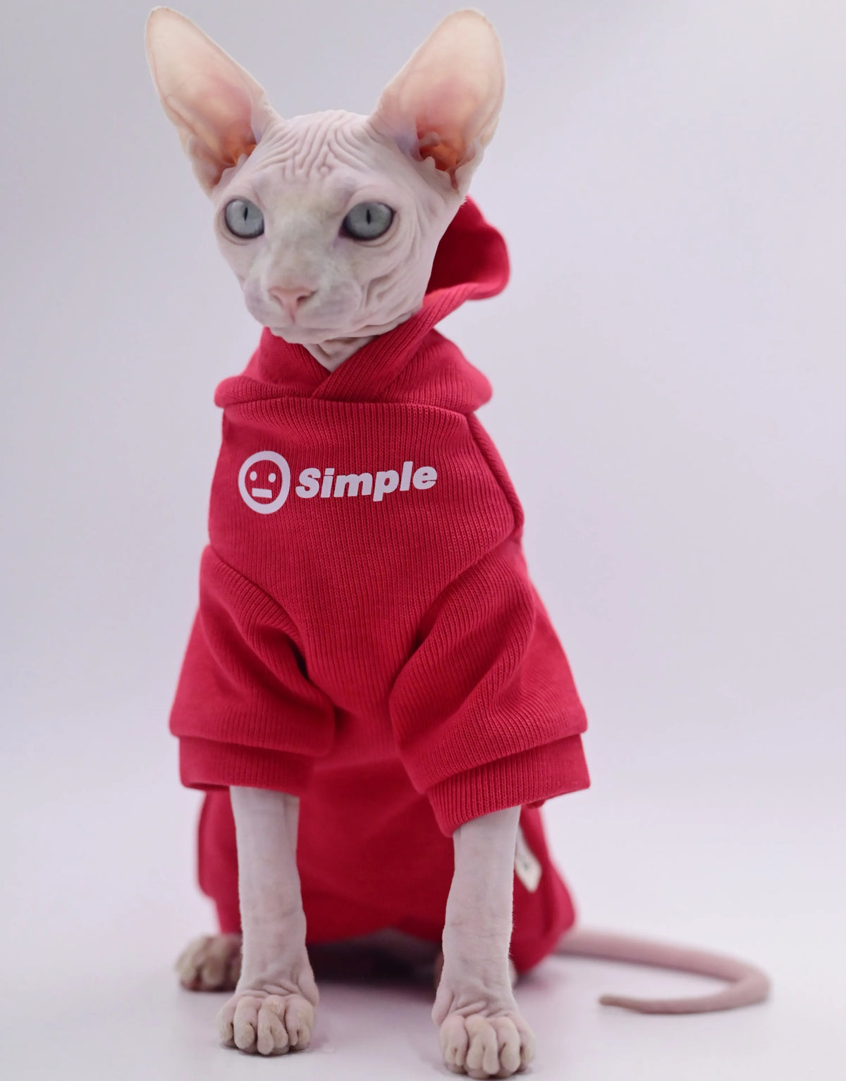 Red Cotton Cat Hoodie for Sphynx Cats