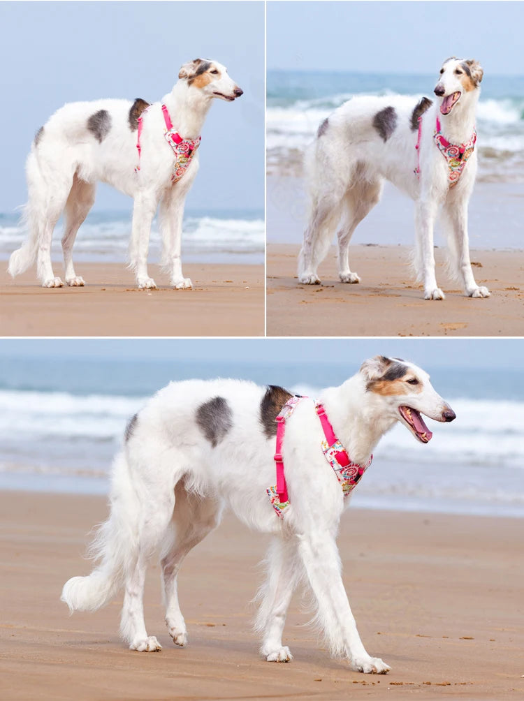 Adjustable Padded Nylon Dog Harness with Reflective Details
