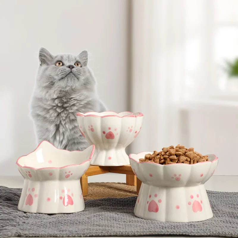 Elevated Ceramic Bowl for Cats & Small Dogs