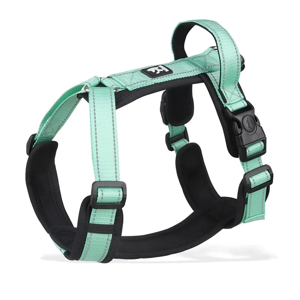 Adjustable Padded Dog Harness with Reflective Stitching