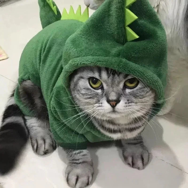 Fleece Dinosaur Pet Hoodie