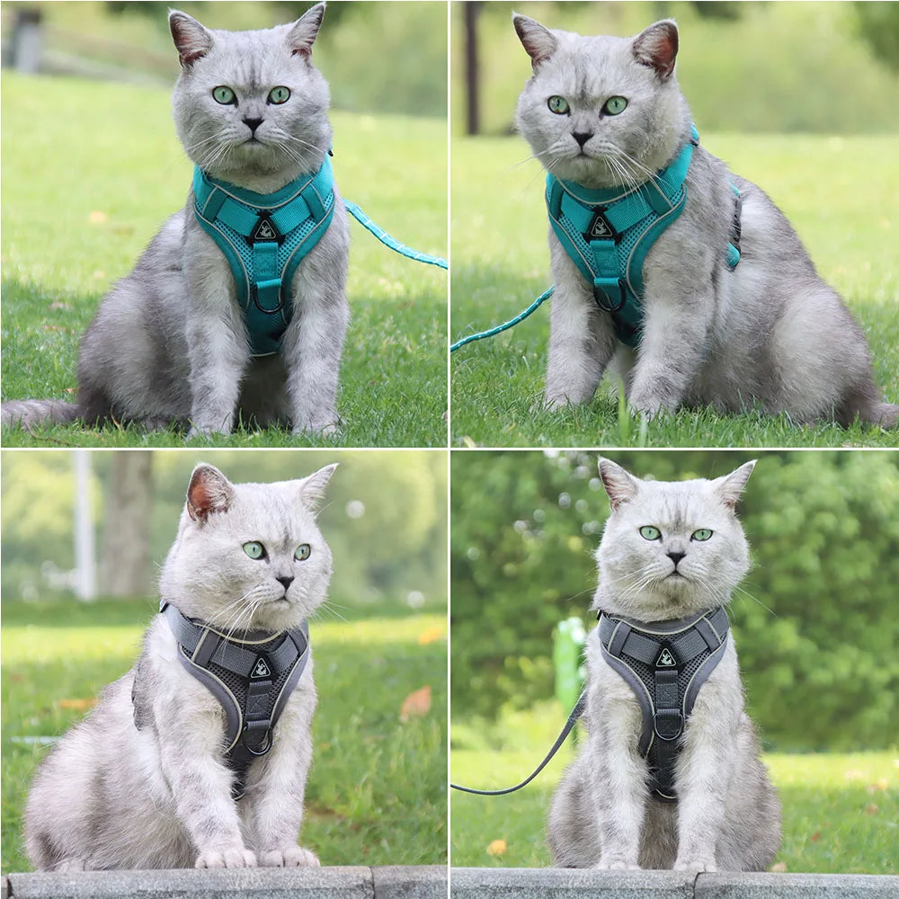 Solid-Color Mesh Pet Harness & 150 cm Leash Set