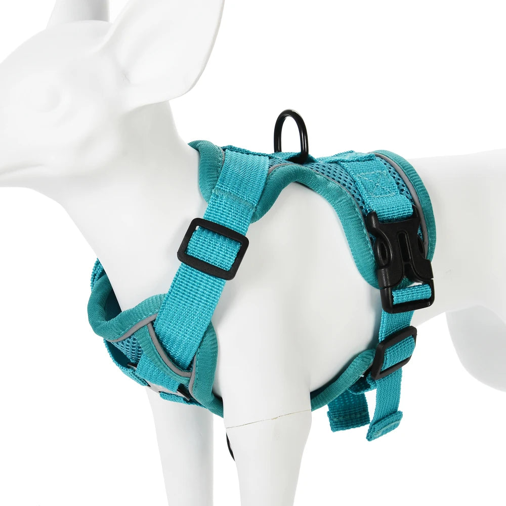 Adjustable Mesh Pet Harness & Coordinating Leash Set