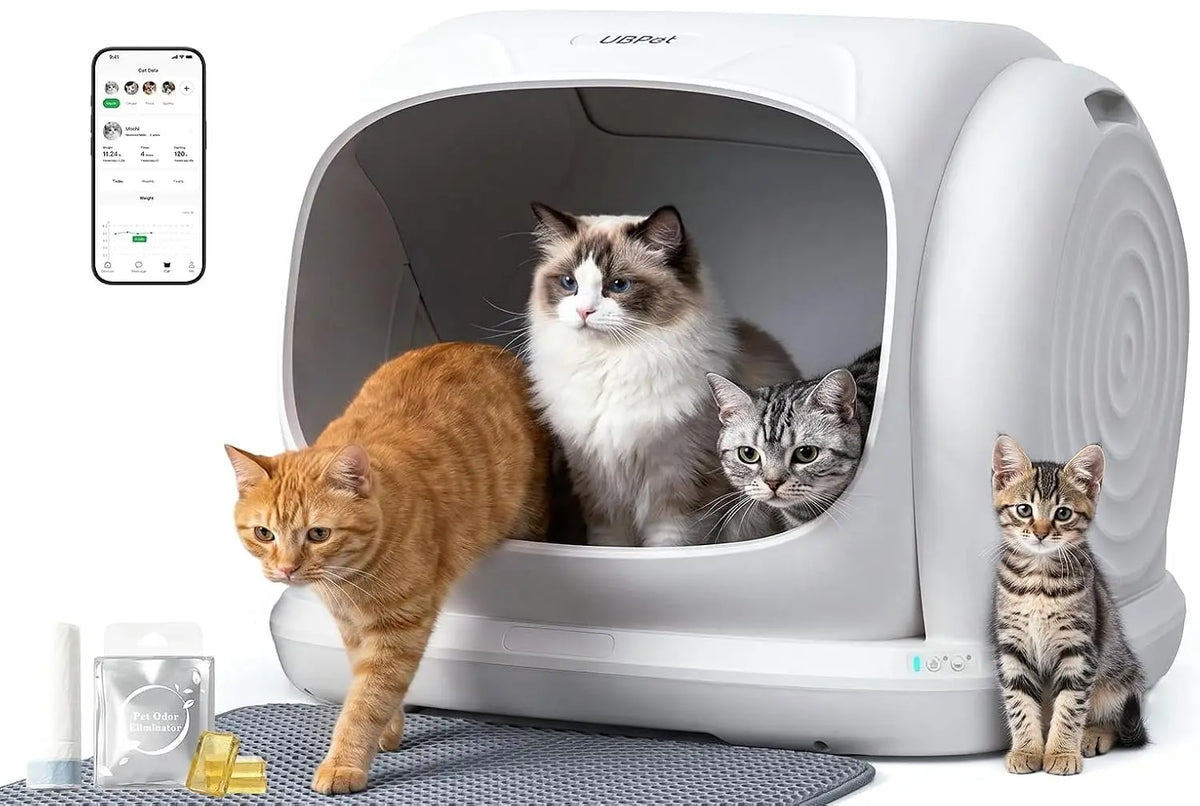 Open-Front Self-Cleaning Cat Litter Box with App Control