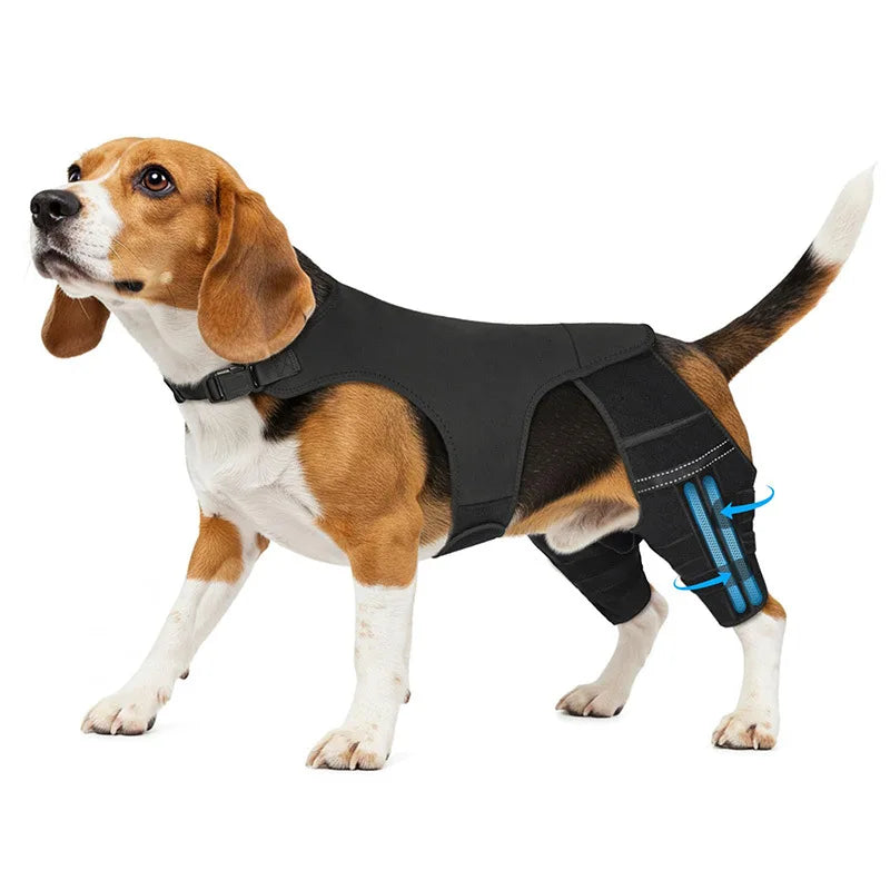 Dog Rear-Leg Brace with Body Strap