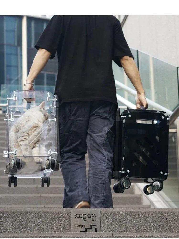 Box-Style Rolling Pet Carrier with Clear Panels