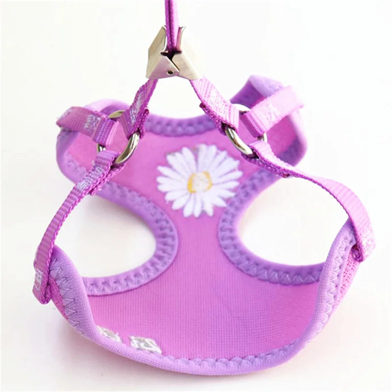 Daisy-Embroidered Mesh Pet Harness & Matching Leash Set