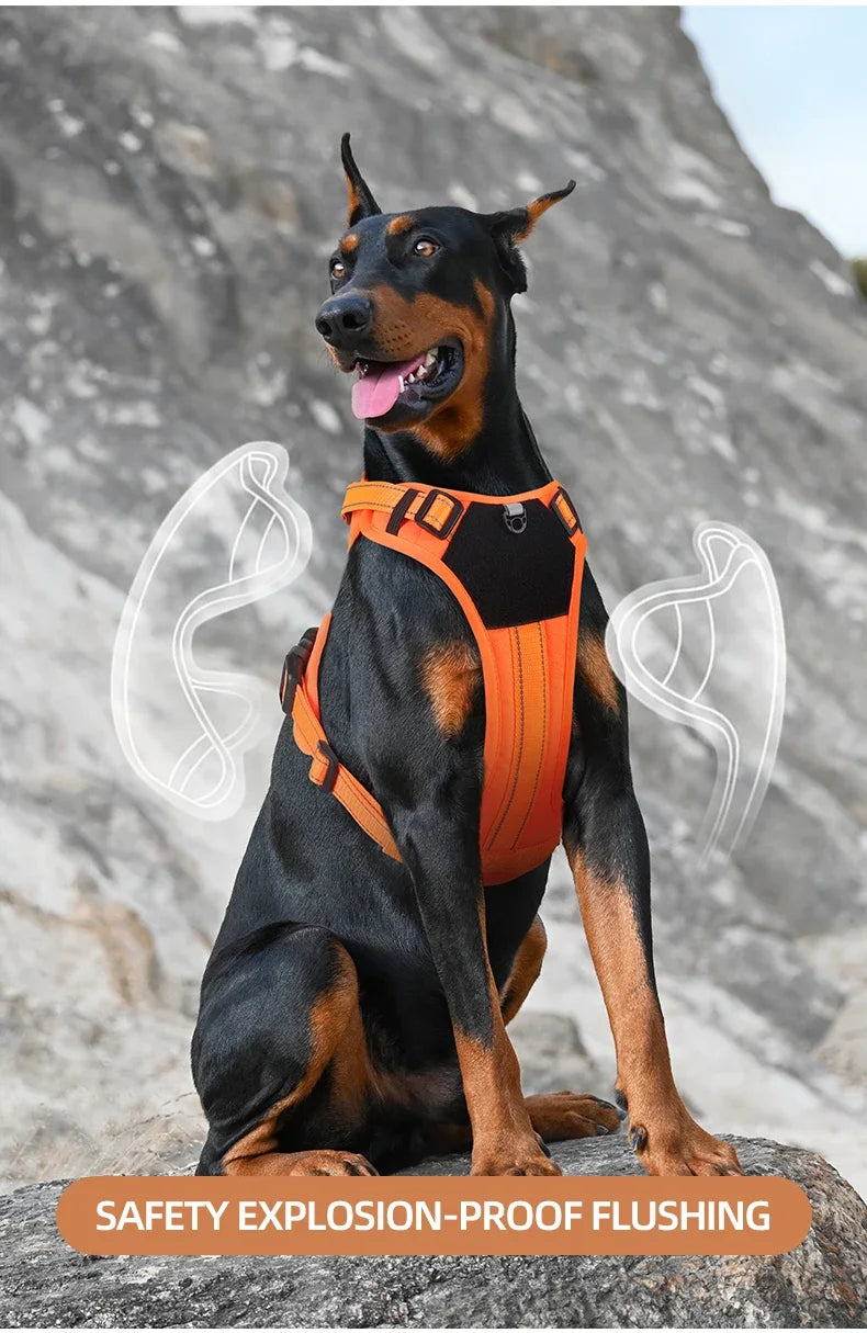 Adjustable Dog Harness with Reflective Trim & Top Handle