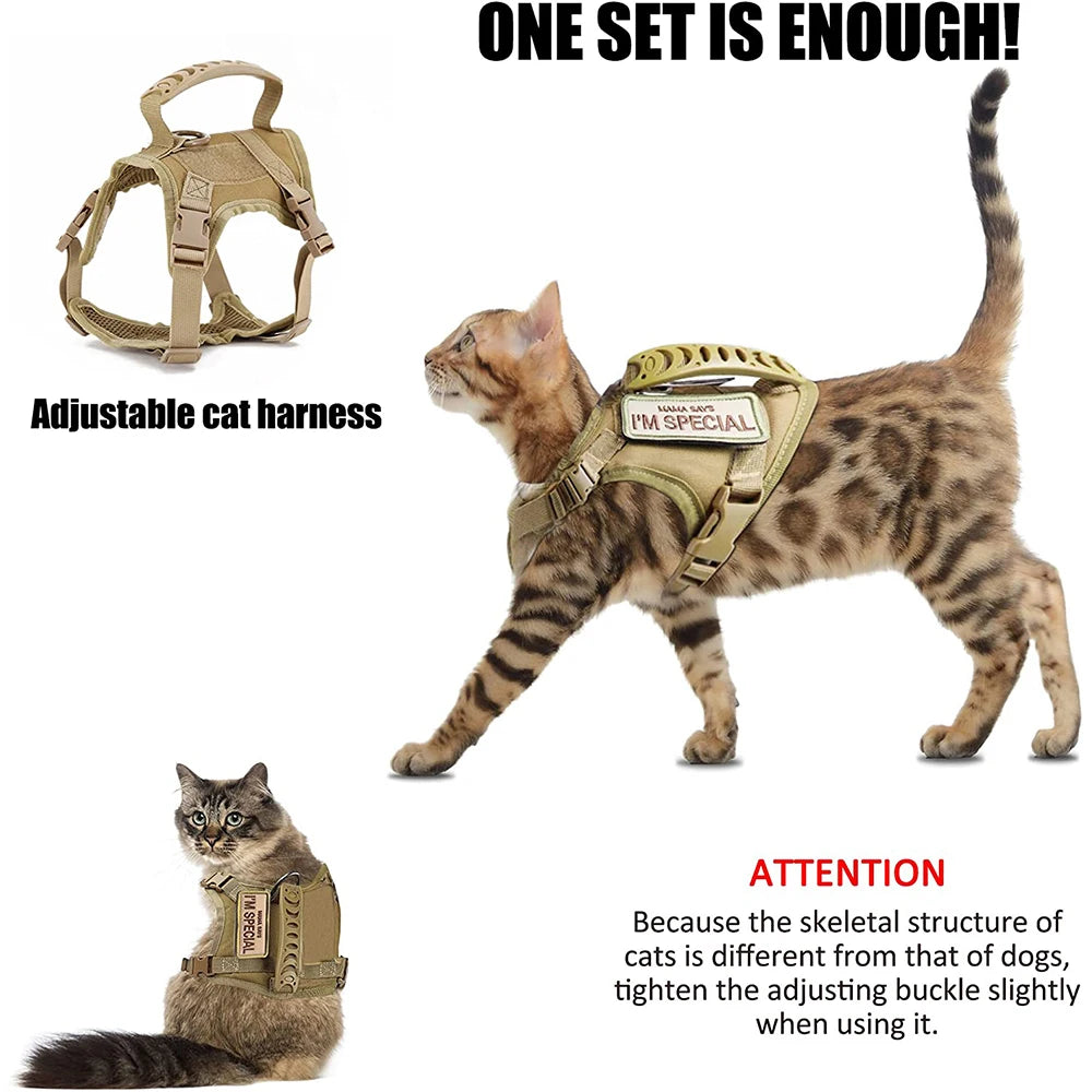 Adjustable Tactical-Style Pet Harness & Set Options