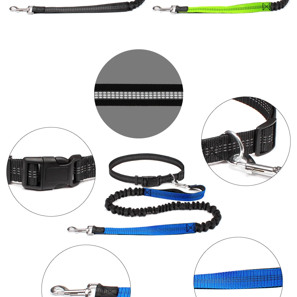 Waist-Belt Dog Leash Set with Bungee Sections