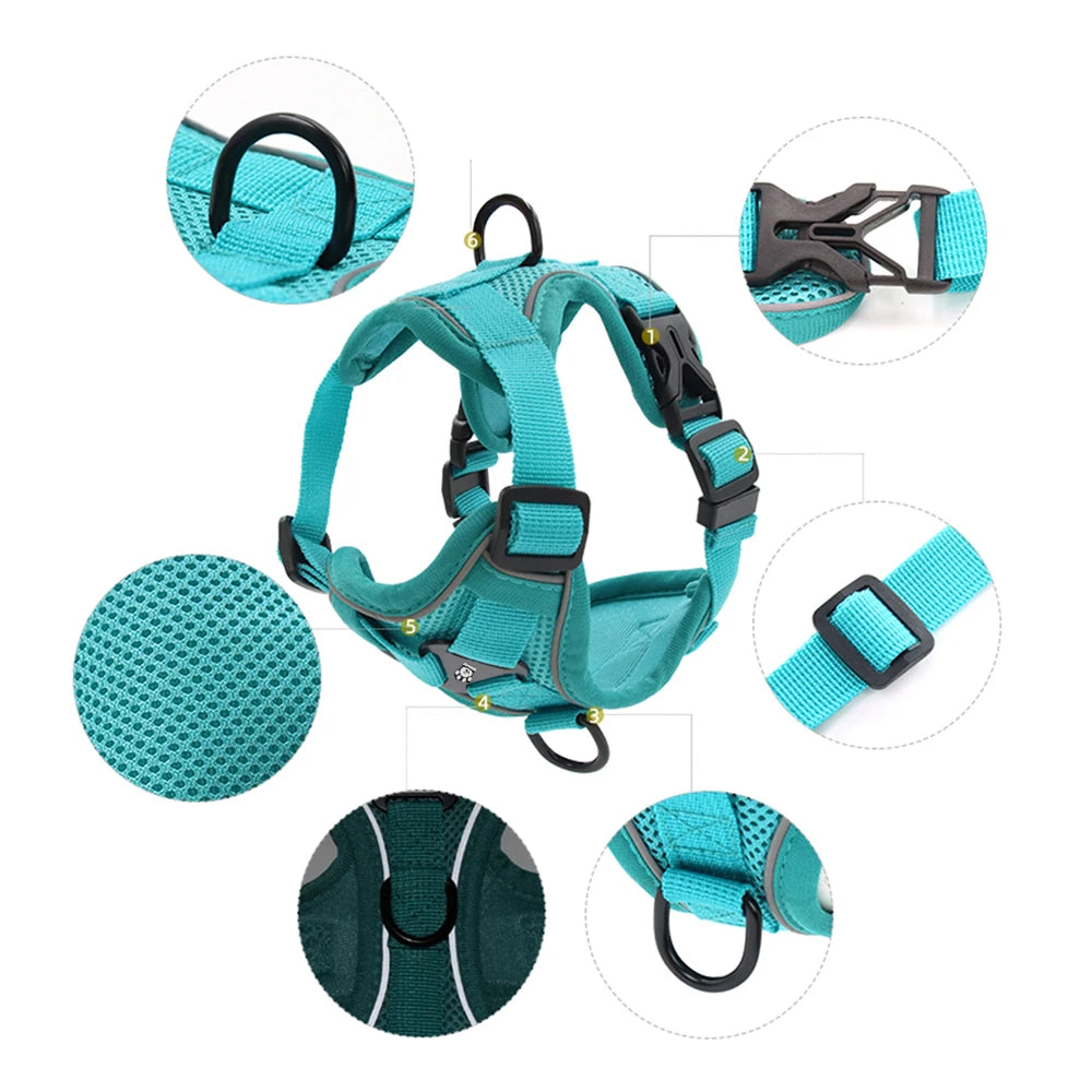 Adjustable Mesh Pet Harness & Coordinating Leash Set