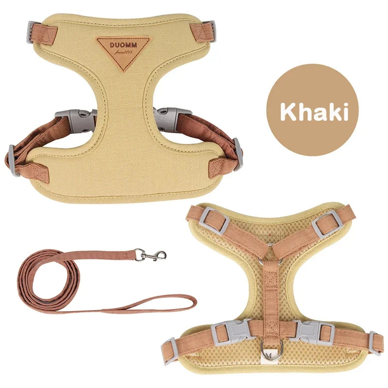 Colorblock Pet Harness & Coordinating Leash Set