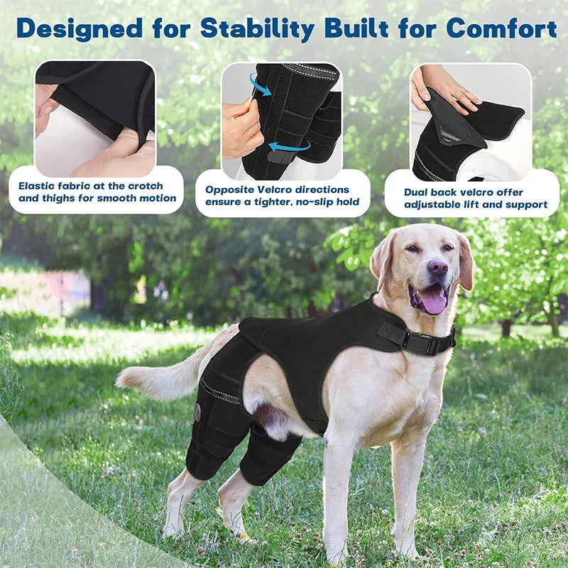 Dog Rear-Leg Brace with Body Strap