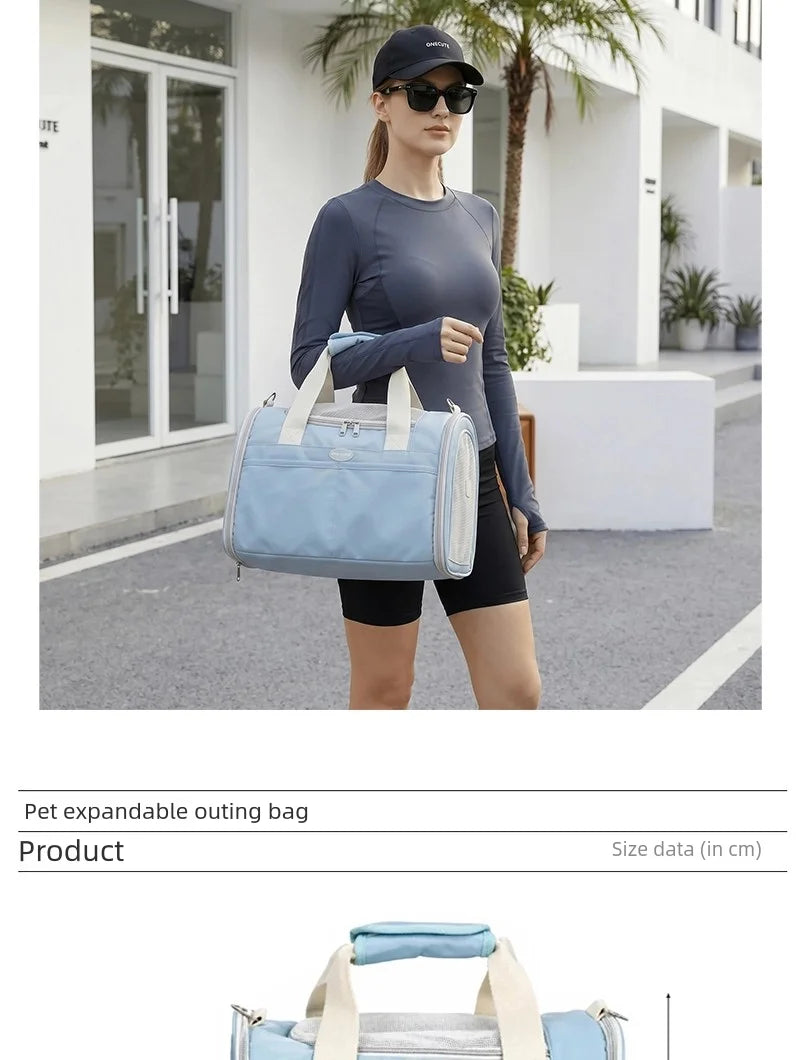 Blue Mesh Travel Carrier for Cats & Small Dogs
