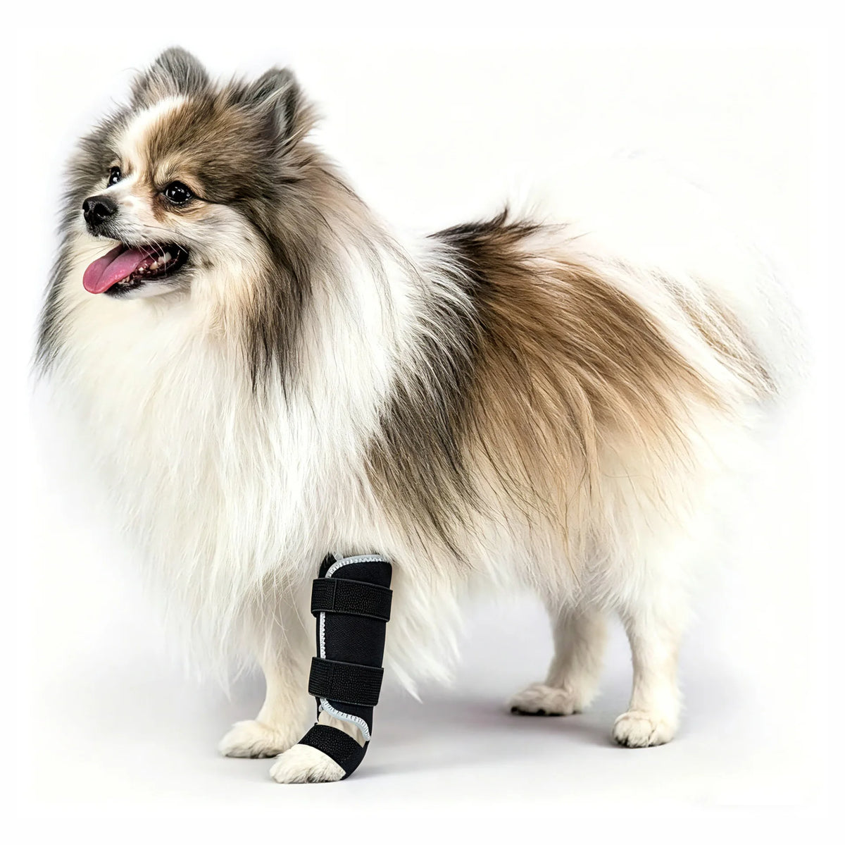 Front-Leg Carpal Splint for Dogs
