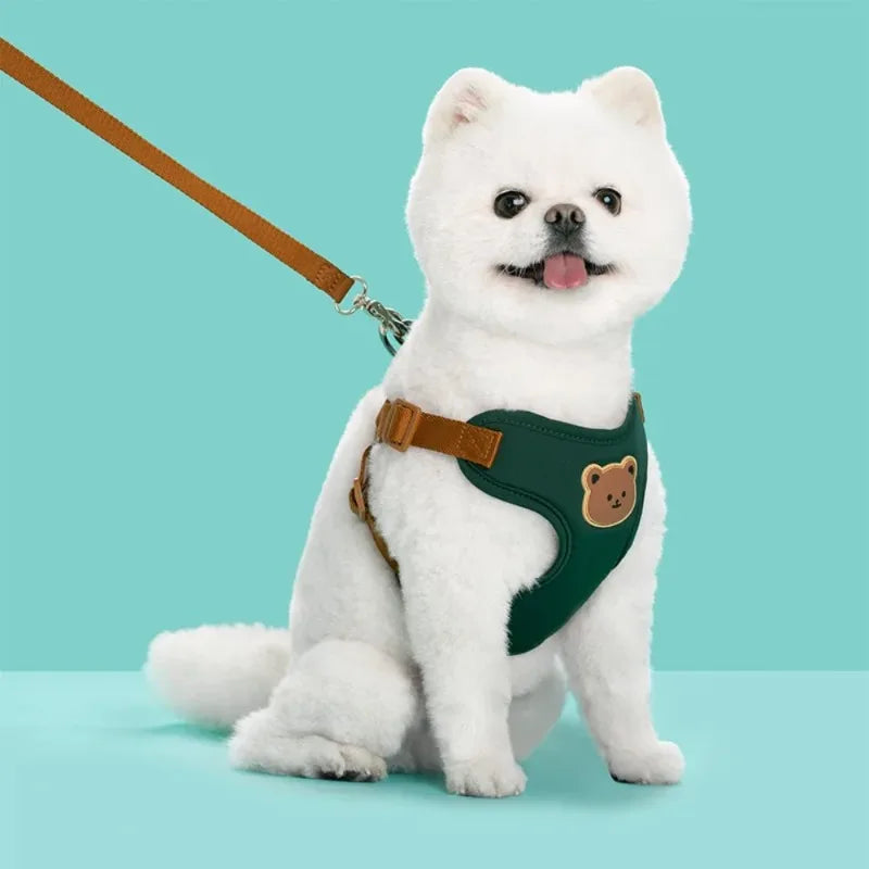 Bear-Detail Pet Harness & Leash Set with Mesh Lining