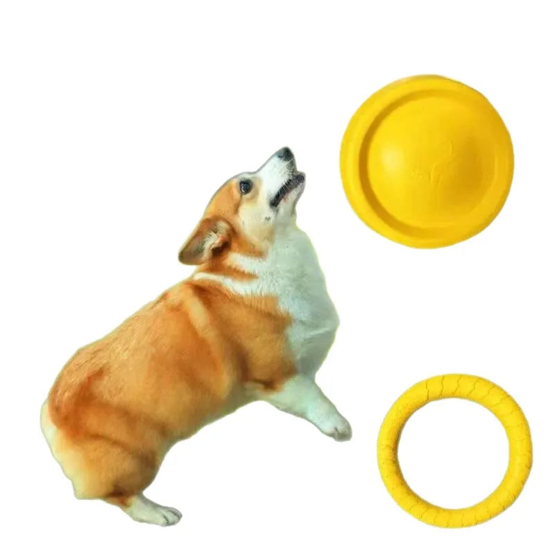 Textured Dog Fetch Ring, Small & Large Options