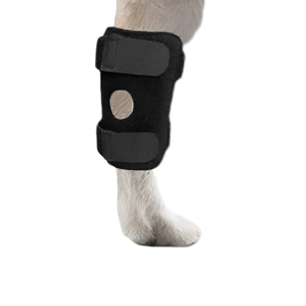 Adjustable Dog Hock Wrap in Black, Single