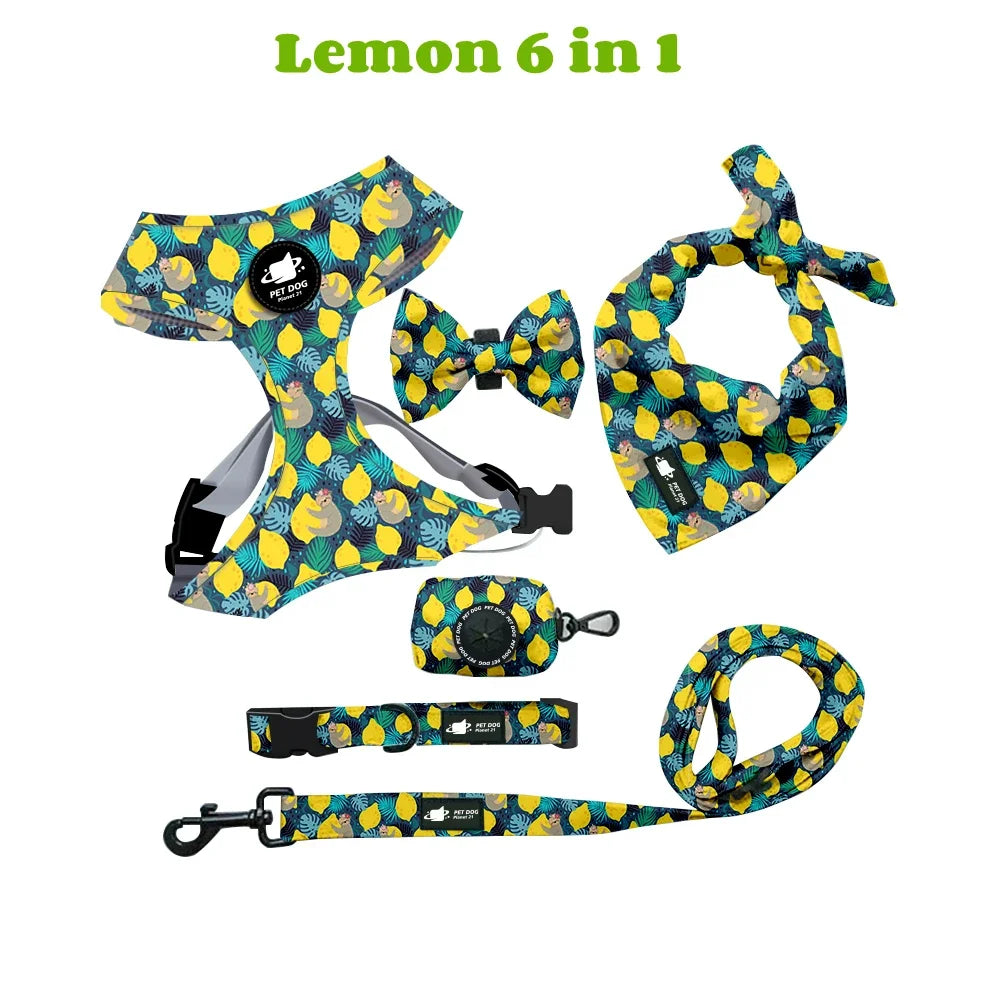 Printed Dog Harness & Coordinating Walking Accessory Set