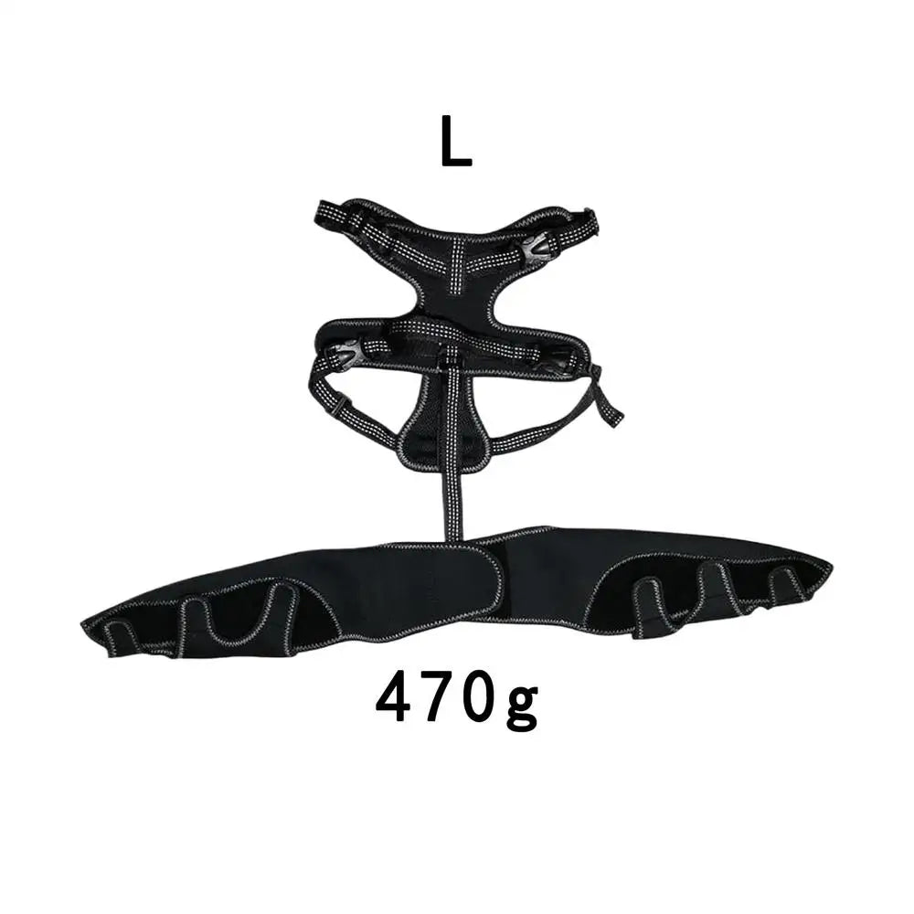 Dog Rear-Leg Wrap with Detachable Chest Harness