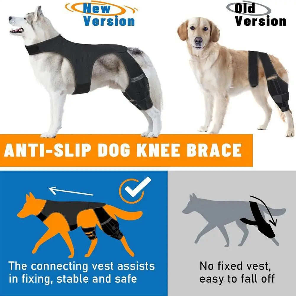 Adjustable Dog Rear-Leg Brace with Wraparound Harness