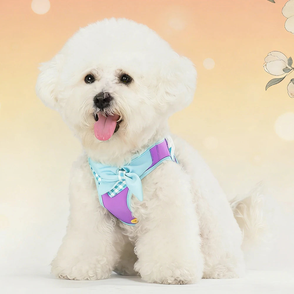 Bow-Detail Pet Vest Harness with Gingham Accent