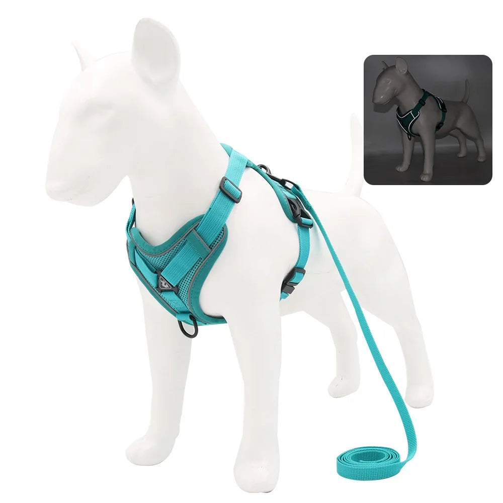 Solid-Color Mesh Pet Harness & 150 cm Leash Set