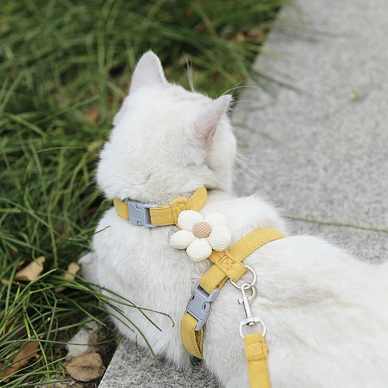 Flower-Detail Pet Harness & Matching Leash Set
