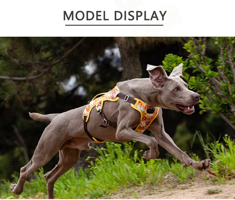 Adjustable Padded Nylon Dog Harness with Reflective Details