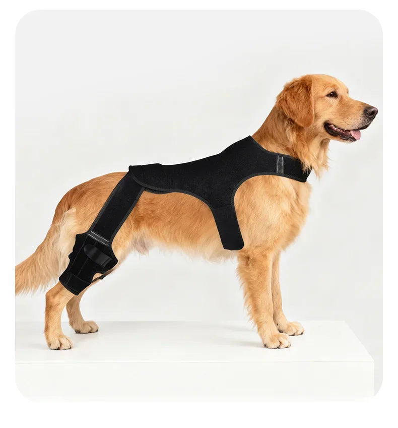 Dog Leg Wraps and Connected Paw Covers, Six Styles