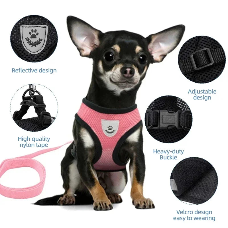 Adjustable Mesh Pet Harness & 120 cm Leash Set