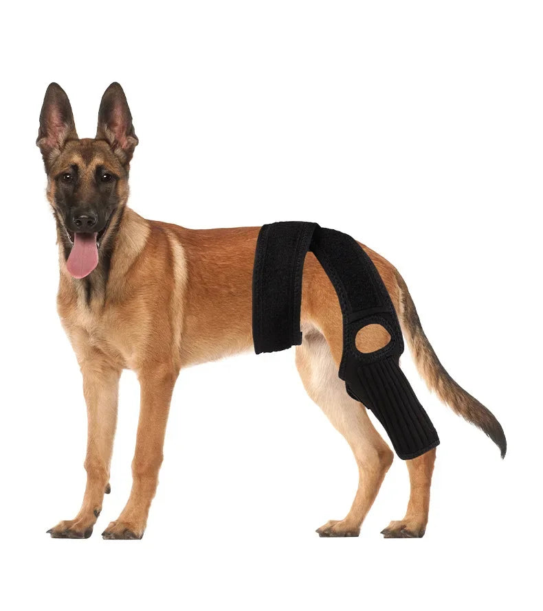 Dog Leg Wraps and Connected Paw Covers, Six Styles