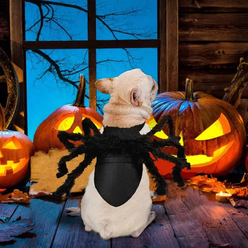Fuzzy Spider Costume for Cats & Dogs