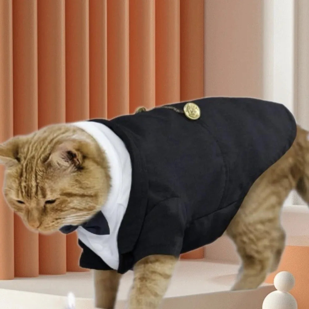 Bow-Tie Cat Tuxedo in Black or Grey