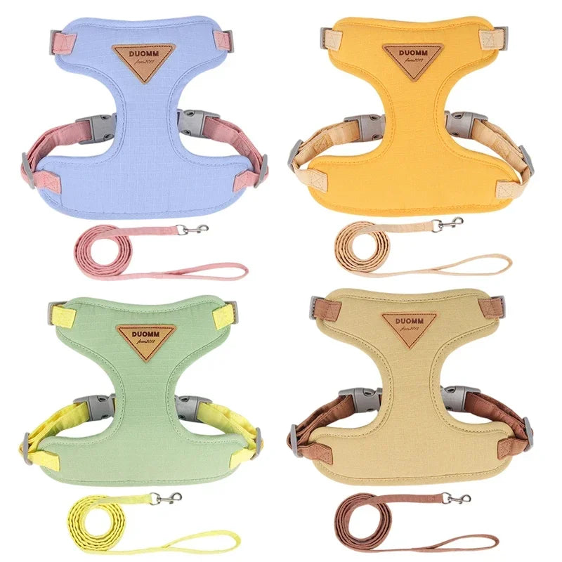 Colorblock Pet Harness & Coordinating Leash Set