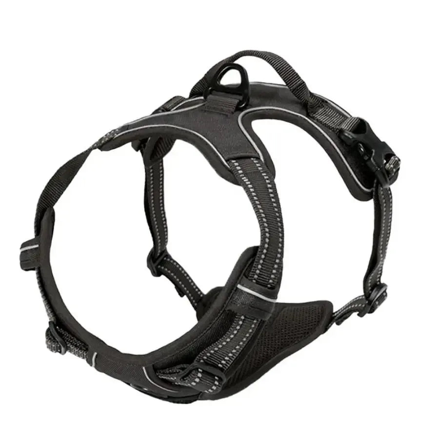 Adjustable Dog Vest Harness with Contrast Trim