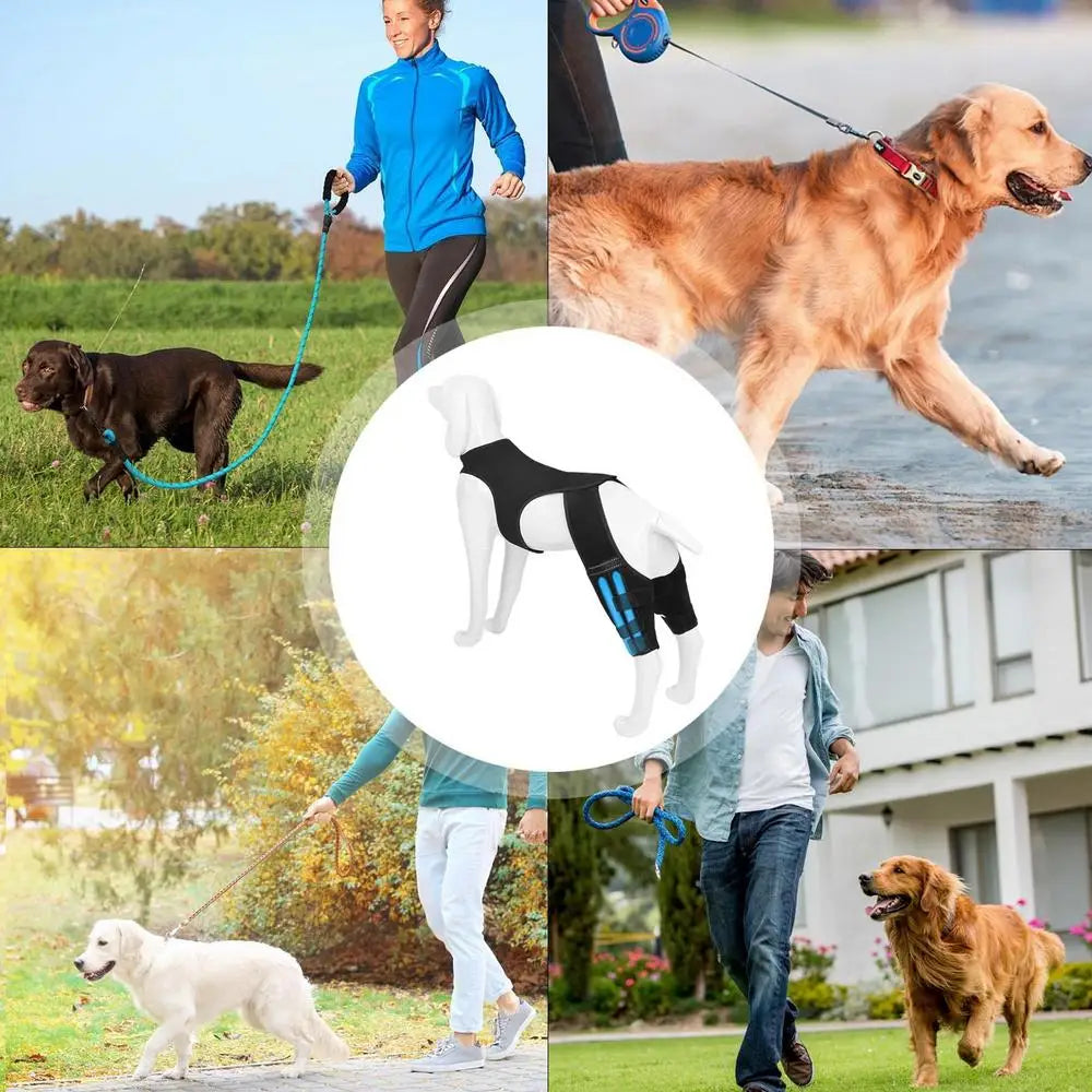 Adjustable Dog Rear-Leg Brace with Wraparound Harness