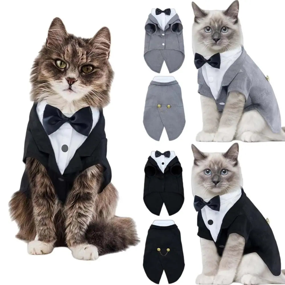 Bow-Tie Cat Tuxedo in Black or Grey