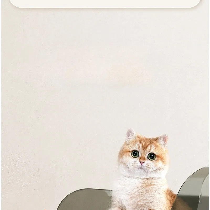 Open-Top Cat Litter Tray with Translucent Splash Guard