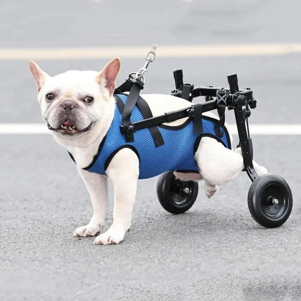Adjustable Two-Wheel Rear-Support Pet Wheelchair
